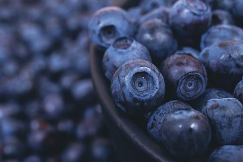 Blueberries bowl closeup Adobe
