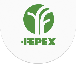 logo_fepex.png