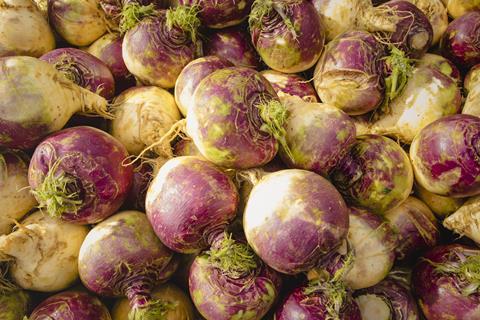 ESG Drysdale is a major swede supplier, among other crops