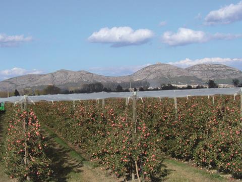 Spanish apples and pears