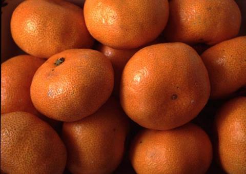 Peru: Langsamer Start in die Citrus-Saison