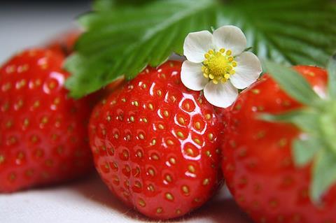 NRW: 41,4 Prozent weniger Erdbeeren als im Vorjahr