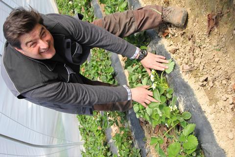 Michael Häger aus Wachtberg-Fritzdorf baut Erdbeeren im Folientunnel an. Foto: Herbert Knuppen