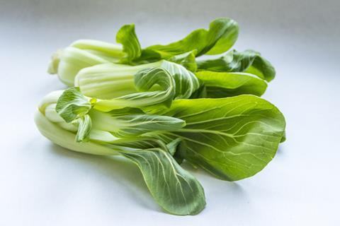 pakchoi_kohl_metsikgarden_pixabay_2021_healthy-3206231