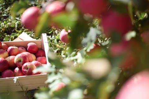 Australian apples
