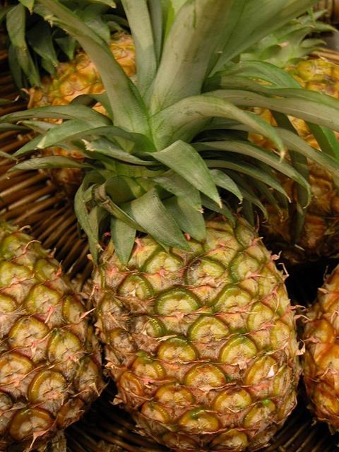 Costa Rica: Weiter führend bei Ananas-Exporten