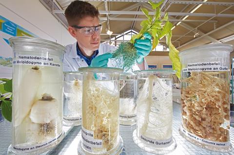 Bayer: Crop Science wächst in drei von vier Regionen