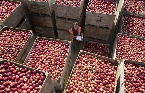FSP_Loddington_Apple_Harvest_029-scaled