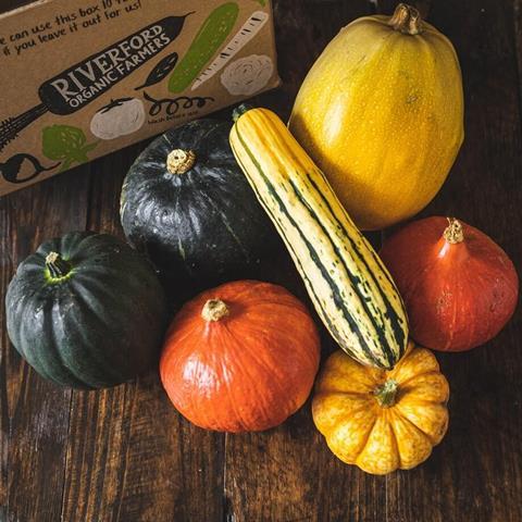 Riverford wants to see people eating as well as decorating their Halloween gourds