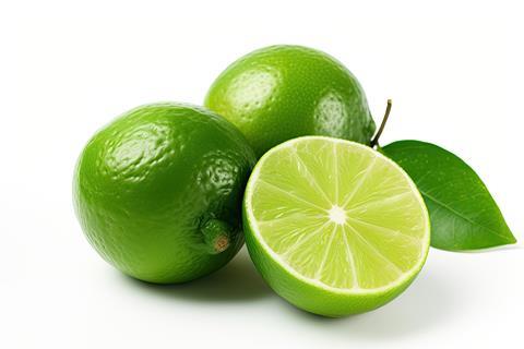 Persian limes Picture Adobe