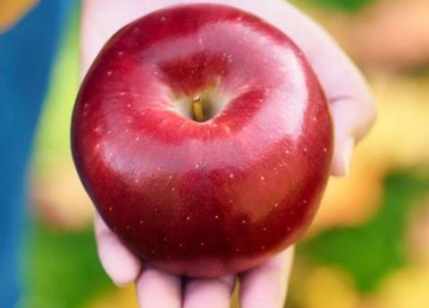 Chile's Honeycrisp apples have arrived in U.S.