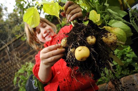 The Grow Your Own Potatoes programme teaches children valuable skills in food growing and nutrition