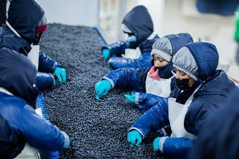 140855_camposolblueberries_china_235931