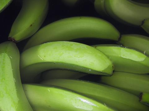 Costa_Rica_-_Bananen__6__01.jpg