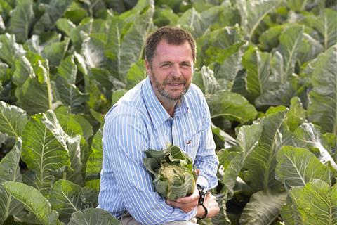 Simon Jackson - brassicas mr