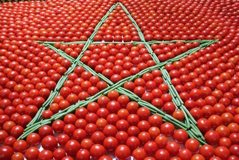 Morocco tomatoes
