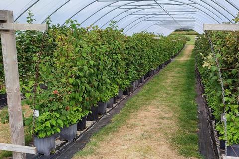 Crop trials conducted by James Hutton Limited