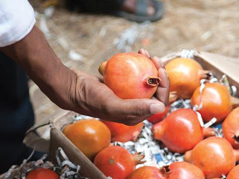 Fruitnet Pomegranate India