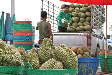 Thai durian transport truck export