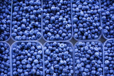Blueberries in plastic containers top down view Adobe Stock