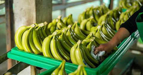 Bananen in Peru