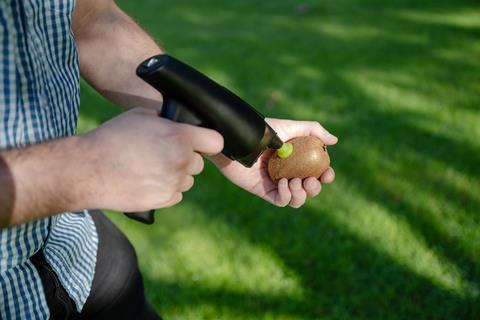 2025-case-study-non-destructive-fruit-testing