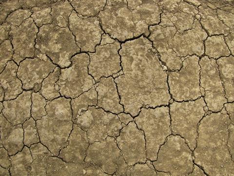UFZ: Gefahr extremer Dürreperioden in Mitteleuropa dürfte zunehmen