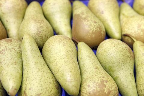 Belgien: Birnen legen zu - Apfelernte wird aber deutlich kleiner ausfallen