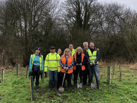 Over 40 employees volunteered to help plant the trees