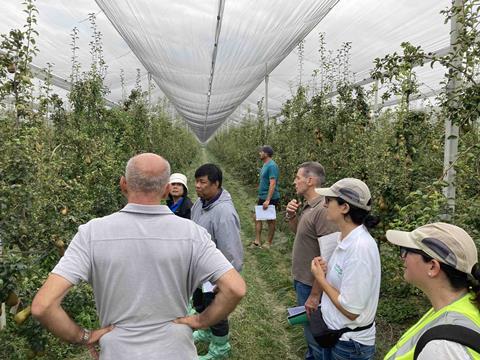 IT Thailand inspectors pears Emilia Romagna
