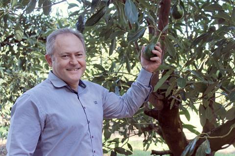 John Tyas, Avocados Australia