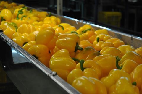 Almería: Rentable Preise nur für Paprika