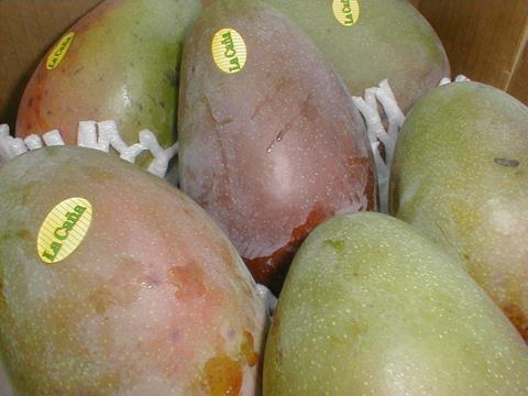 mangos.jpg