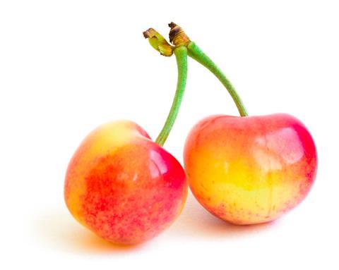 Rainier cherries