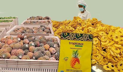 csm_KN994_Tropicaux_Collage1_003_1170px_9a7e16ab9d