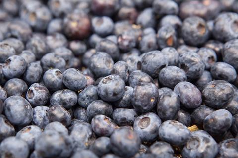 Blaubeeren_lose.jpg