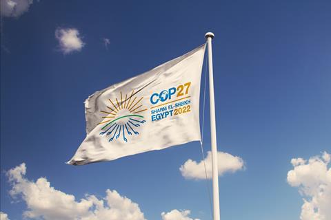 COP27 flag