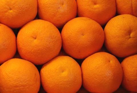 Die ersten chilenischen Orangen sind in China eingtroffen.