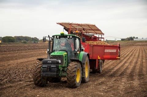 „Pfälzer Grumbeere“: Regionale Frühkartoffeln steigen in Verbrauchergunst
