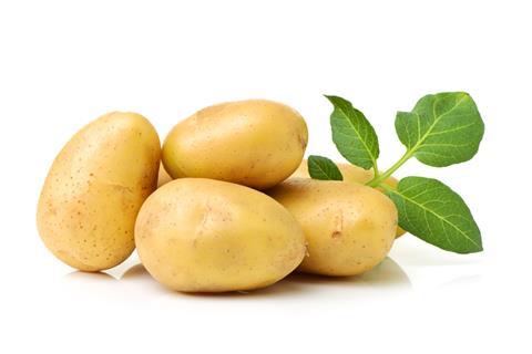 Nordwesteuropa: Kartoffelerzeuger erwarten durchschnittliche Erntemenge