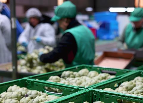 Eurofruits Levante picture Anecoop