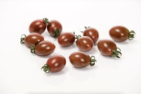 Chocostar F1 tomato Sakata Seeds