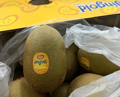 Jingold-Kiwis aus Südafrika