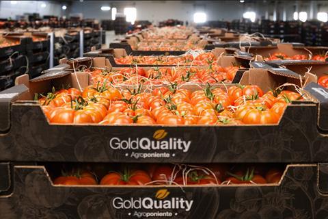 Tomaten