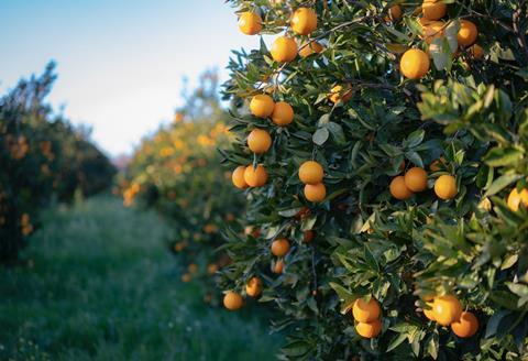 Australian citrus