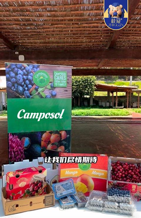 Camposol exports various fruits such as blueberries,  avocados, cherries, grapes, mangoes, and oranges to China