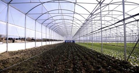 Albanian greenhouse