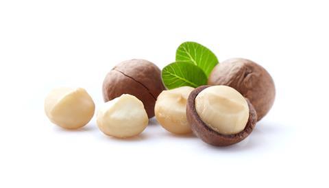 Macadamia