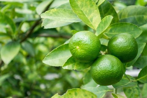somesense_AdobeStock_170947899