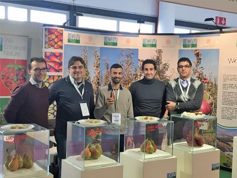 Universität Bologna und CIV ermöglichen Pflanzung ausgewachsener Birnenplantagen
